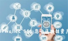 深入分析TPWallet BSC：您的