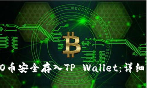 如何将ERGO币安全存入TP Wallet：详细指南与步骤
