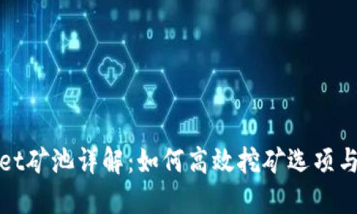 : TPWallet矿池详解：如何高效挖矿选项与风险控制