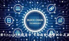 深入剖析Bitpoint加密货币：