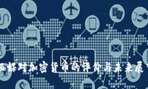 西媒对加密货币的评价与未来展望