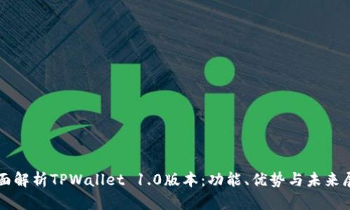 全面解析TPWallet 1.0版本：功能、优势与未来展望