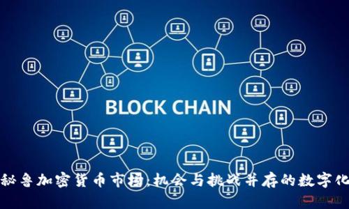 探秘秘鲁加密货币市场:机会与挑战并存的数字化未来