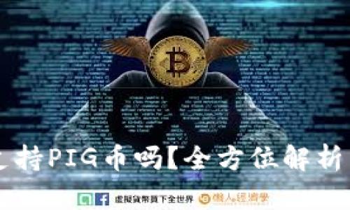 TPWallet支持PIG币吗？全方位解析与使用指南
