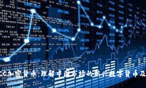 光维LCC加密货币:理解中国市场的新兴数字货币及其潜力