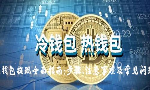 Bybit钱包提现全面指南：步骤、注意事项及常见问题解析