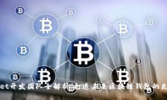 TPWallet开发团队全解析:打造未来区块链钱包的先