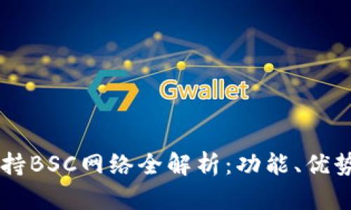 TPWallet支持BSC网络全解析：功能、优势及使用指南