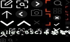 全面解析：TPWallet BSC（币安智能链）使用教程