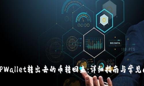如何将TPWallet转出去的币转回来：详细指南与常见问题解答