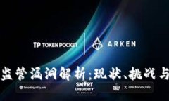 加密货币监管漏洞解析：现状、挑战与未来展望