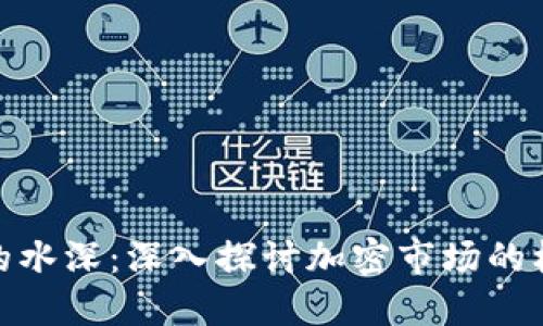加密货币的水深：深入探讨加密市场的机遇与风险