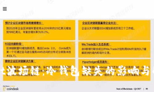 TPWallet波场链：冷钱包缺失的影响与解决方案