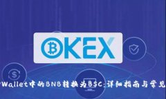 如何将TPWallet中的BNB转换为BSC：详细指南与常见问