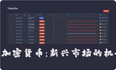 TikTok与加密货币：新兴市场的机会与挑战