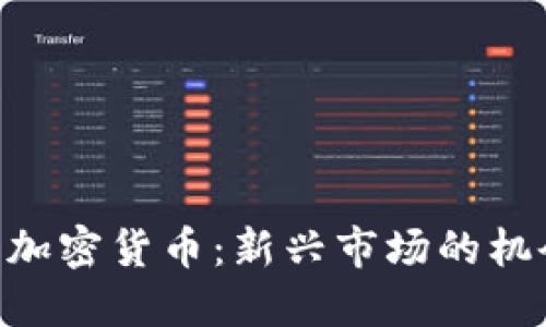 TikTok与加密货币：新兴市场的机会与挑战