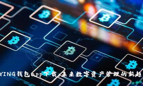 BYING钱包app下载：未来数字资产管理的新趋势