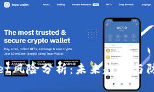 TPWallet风险分析：未来趋势与防范措施