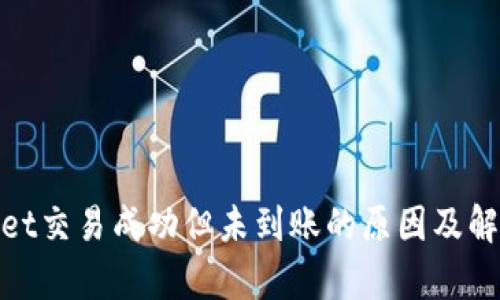 tpwallet交易成功但未到账的原因及解决方案