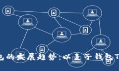 未来数字钱包的发展趋势：以麦子钱包TPWallet为例