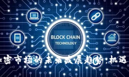 货币加密市场的未来发展趋势：机遇与挑战
