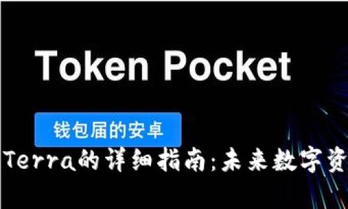 tpWallet添加Terra的详细指南：未来数字资产管理的趋势