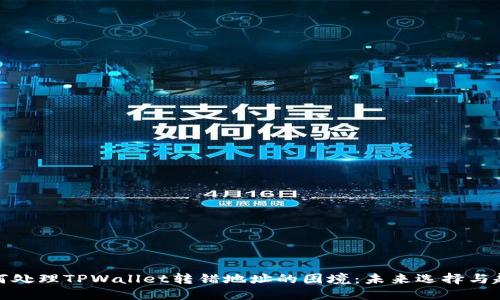 如何处理TPWallet转错地址的困境：未来选择与趋势