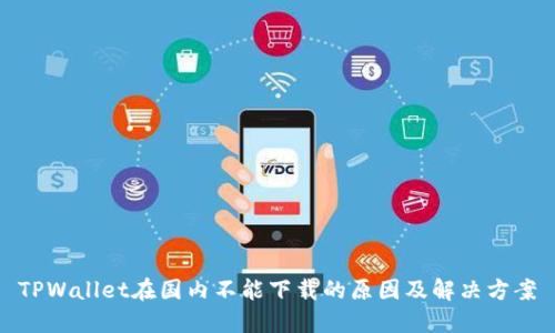 TPWallet在国内不能下载的原因及解决方案