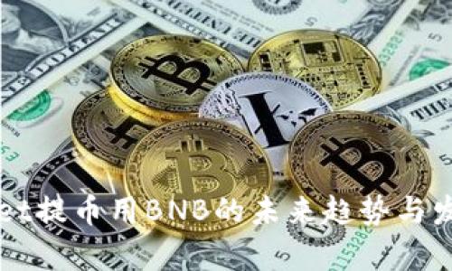 TPWallet提币用BNB的未来趋势与发展分析