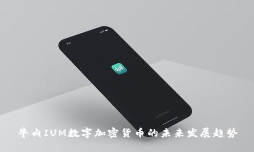 牛肉IUM数字加密货币的未来发展趋势