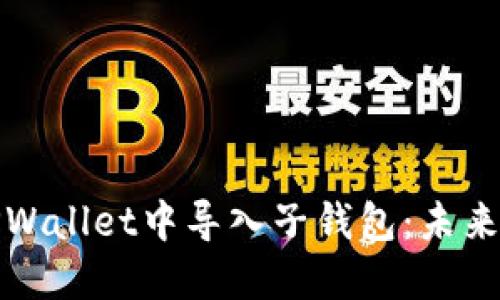 如何在TPWallet中导入子钱包：未来发展趋势