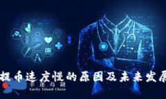 TPWallet提币速度慢的原因及未来发展趋势分析