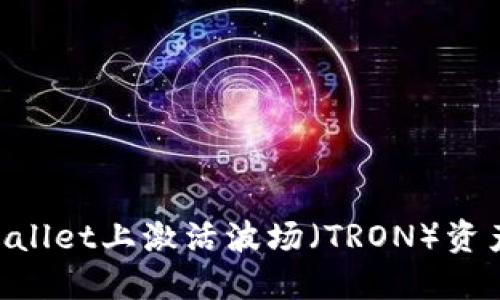 如何在TPWallet上激活波场（TRON）资产：全面指南