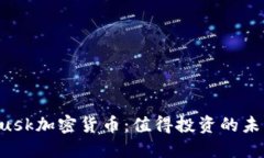 揭秘Musk加密货币：值得投资的未来之路
