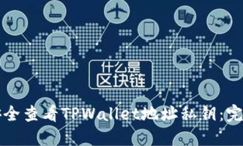 如何安全查看TPWallet地址私钥：完整指南