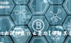 : TPWallet大陆IP是什么意思？详解其含义及影响