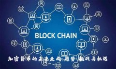 加密货币的未来走向：趋势、挑战与机遇