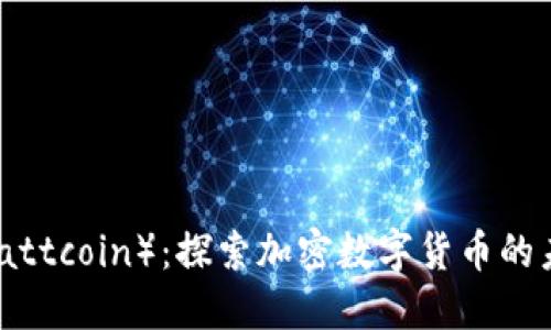 瓦特币（Wattcoin）：探索加密数字货币的未来与潜力