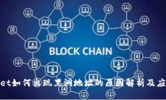 tpwallet如何出现黑洞地址的原因解析及应对策略