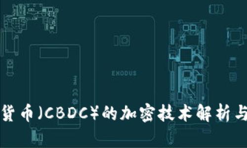 央行数字货币（CBDC）的加密技术解析与应用前景