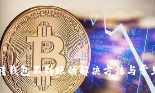 tpwallet转钱包不到账的解决方法与常见问题解析