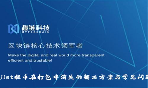 TPWallet提币在打包中消失的解决方案与常见问题解析