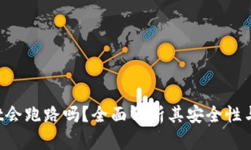  TPWallet会跑路吗？全面分析其安全性与发展前景