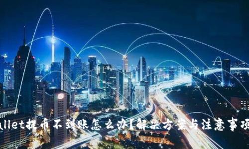 tpwallet提币不到账怎么办？解决方案与注意事项详解