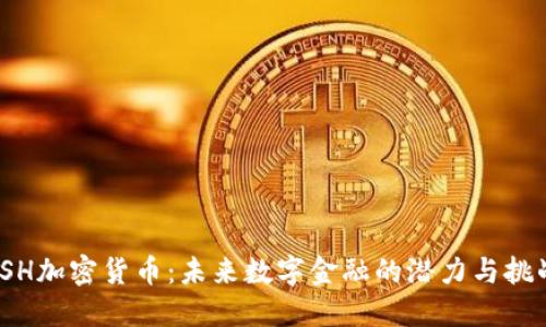 TSH加密货币：未来数字金融的潜力与挑战