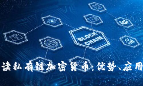 全面解读私有链加密货币：优势、应用与挑战