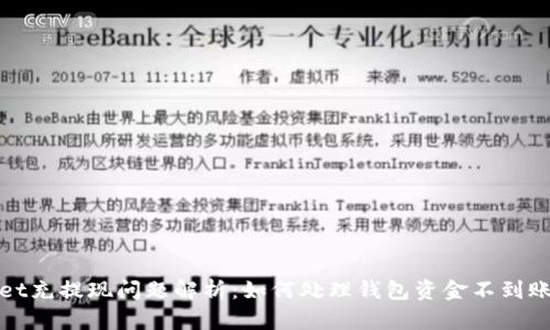 TPWallet充提现问题解析：如何处理钱包资金不到账的情况